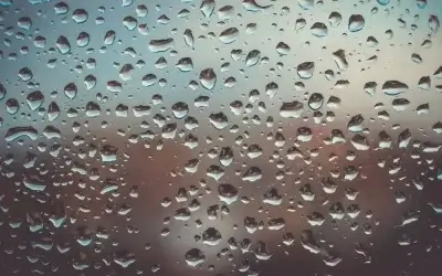 Has Summer Humidity Taken Over Your Home?