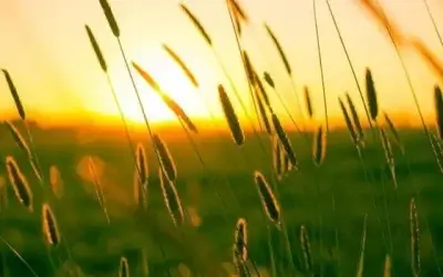 10 Ways to Keep Indoor Temps and Utility Bills Down, While Outdoor Temps Skyrocket