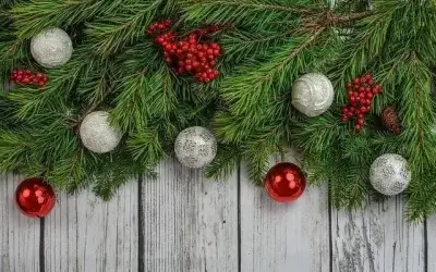 Wyckoff’s 12 Days of Giveaways