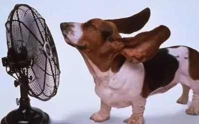 How to Know When Your AC Unit Needs A Check Up