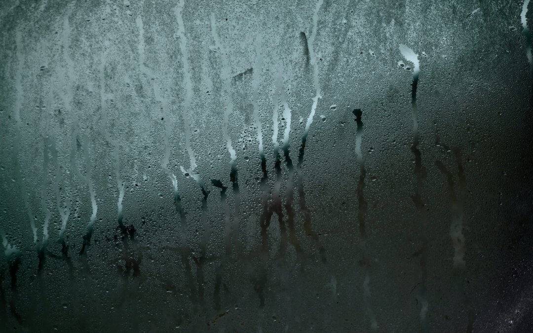 condensation forming on a glass window