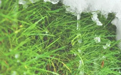 Preparing to Switch from Your Furnace to Your A/C
